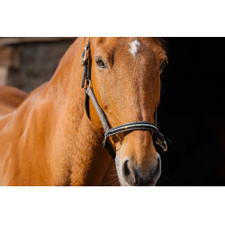 Cabezada de nailon Equithème Domino Cobre Marr&amp;amp;amp;oacute;n
