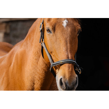 Cabezada de nailon Equithème Domino Cobre Marr&amp;amp;amp;oacute;n