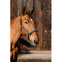 Cabezada de nailon Equithème Domino Azul real