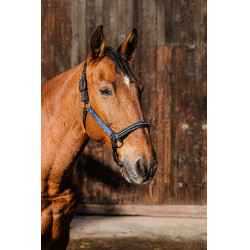 Cabezada de nailon Equithème Domino Azul real