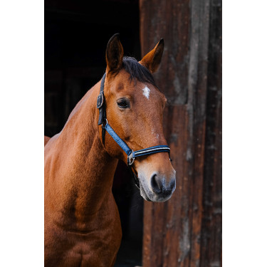 Cabezada de nailon Equithème Domino Azul