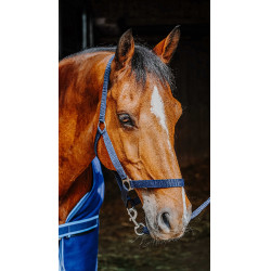 Set compleet Riding World Azul marino
