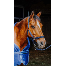 Set compleet Riding World Azul marino