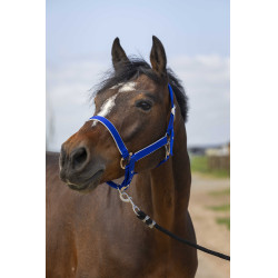 Cabezada Equithème Nylon light Azul real