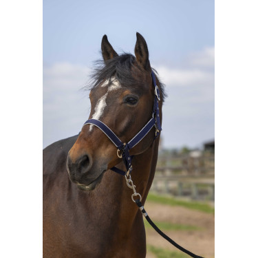 Cabezada Equithème Nylon light Azul marino