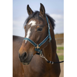 Cabezada Equithème Nylon light Verde oscuro