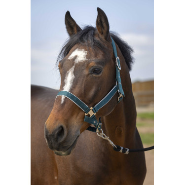 Cabezada Equithème Nylon light Verde oscuro