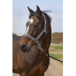 Cabezada Equithème Nylon light Gris