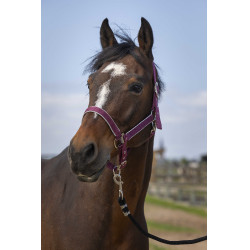 Cabezada Equithème Nylon light Burdeos