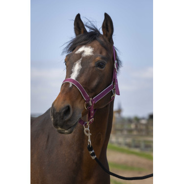 Cabezada Equithème Nylon light Burdeos