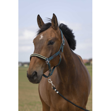 Cabezada de cuadra EQUITHÈME Nylon Chevron Verde oscuro Cabezada de cuadra EQUITHÈME Nylon Chevron Verde oscuro
