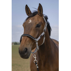 Cabezada de cuadra EQUITHÈME Nylon Chevron Gris claro