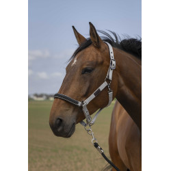 Cabezada de cuadra EQUITHÈME Nylon Chevron Gris claro