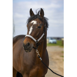 Cabezada de cuadra EQUITHÈME Nylon Check Negro / marrón