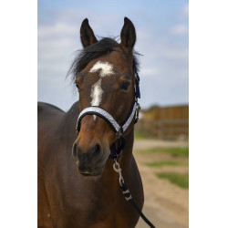 Cabezada de cuadra EQUITHÈME Nylon Check marine, contrastes noirs Azul