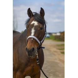 Cabezada de cuadra EQUITHÈME Nylon Check Marino / marrón Azul