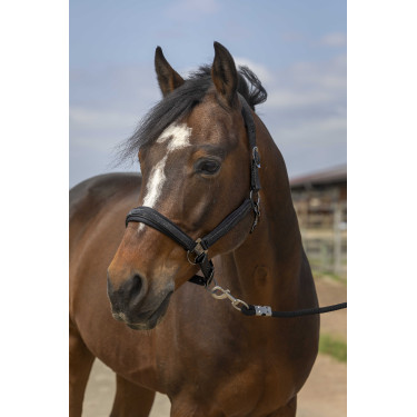 Cabezada de cuadra EQUITHÈME Nylon Strass Negro
