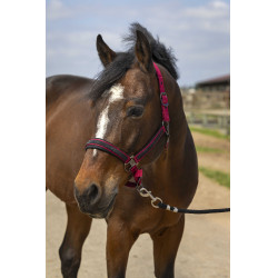 Cabezada de cuadra EQUITHÈME Nylon Strass Burdeos