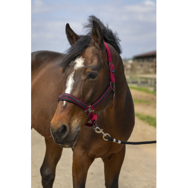 Cabezada de cuadra EQUITHÈME Nylon Strass Burdeos Cabezada de cuadra EQUITHÈME Nylon Strass Burdeos