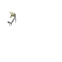 Bonete antimoscas LeMieux Esme Macarrón