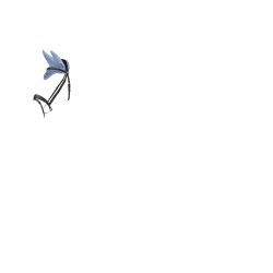 Bonete antimoscas LeMieux Esme Azul empolvado Bonete antimoscas LeMieux Esme Azul empolvado