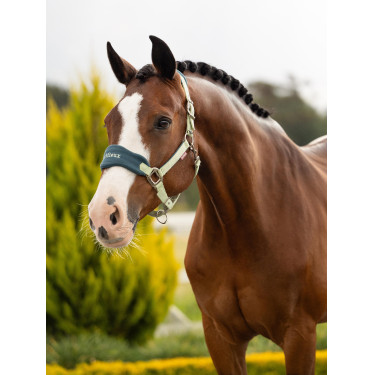 Cabezada y ramal LeMieux Vogue Esme Macarrón Cabezada y ramal LeMieux Vogue Esme Macarrón