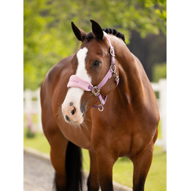 Cabezada y ramal LeMieux Vogue Esme Malva