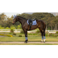 Almohadilla de montar LeMieux Loire Close Contact Square CSO Benetton Azul