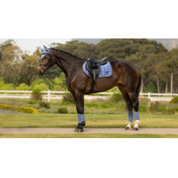 Almohadilla de montar LeMieux Loire Close Contact Square CSO Azul empolvado Almohadilla de montar LeMieux Loire Close Contact Square CSO Azul empolvado