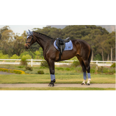 Almohadilla de montar LeMieux Loire Close Contact Square CSO Azul empolvado Almohadilla de montar LeMieux Loire Close Contact Square CSO Azul empolvado