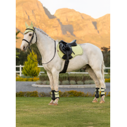 LeMieux Cuadra GP de Ante Reflectante Macarrón