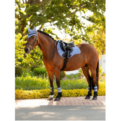 LeMieux Cuadra GP de Ante Reflectante Azul empolvado LeMieux Cuadra GP de Ante Reflectante Azul empolvado