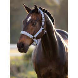 Cabezada LeMieux Essence Azul empolvado Cabezada LeMieux Essence Azul empolvado
