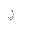 Negro Negro