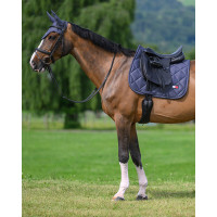 Manta de doma Tommy Hilfiger Equestrian Columbia Cielo del desierto Azul