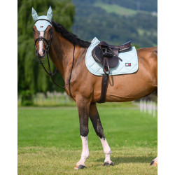 Manta de montar Tommy Hilfiger Equestrian Columbia Menta Belair Verde Manta de montar Tommy Hilfiger Equestrian Columbia Menta Belair Verde