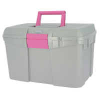 Caja de limpieza Norton Plata / fucsia