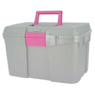 Caja de limpieza Norton Plata / fucsia