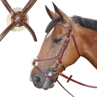 Cabezada mejicana Lexington Denver