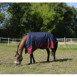 Manta Equi-Theme Tyrex 1200 D