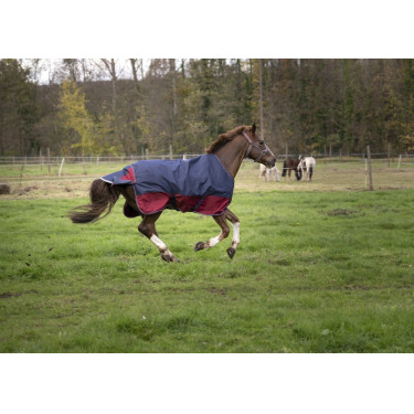 Manta Equi-Theme Tyrex 1200 D Manta Equi-Theme Tyrex 1200 D