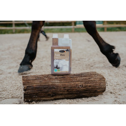 Easy Flex Horse Master Easy Flex Horse Master