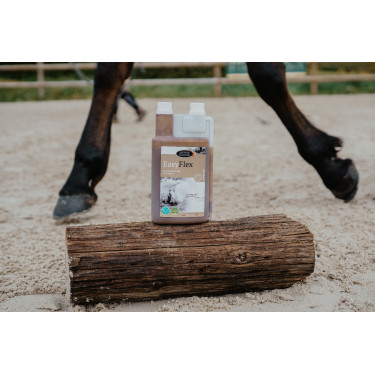 Easy Flex Horse Master Easy Flex Horse Master