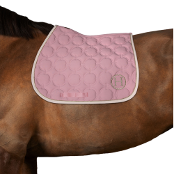 Mantilla Harcour Wimpel Rosa pálido
