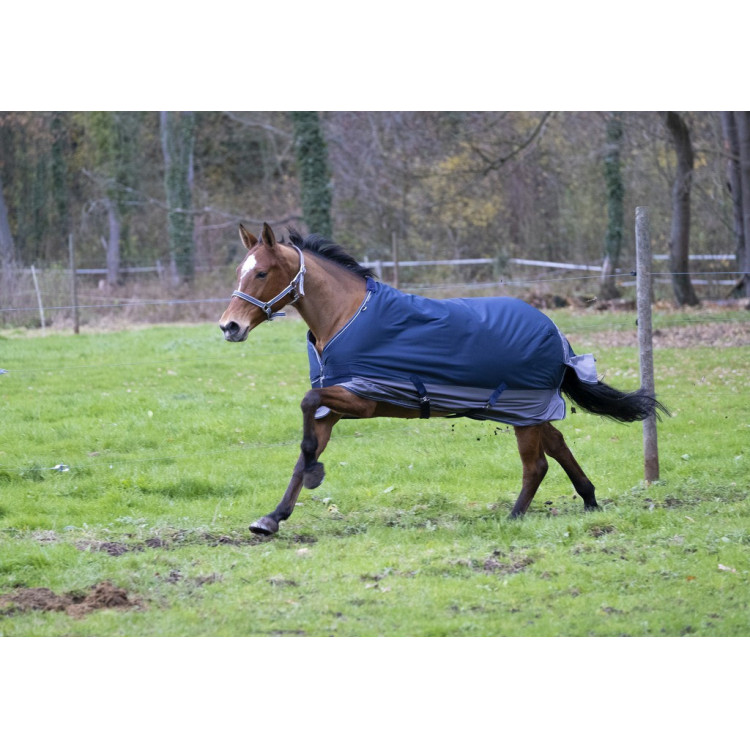 Manta EQUI-THÈME Tyrex 600 D Manta EQUI-THÈME Tyrex 600 D
