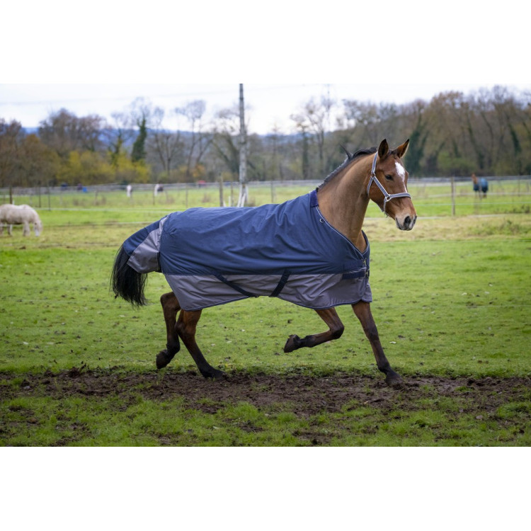 Manta EQUI-THÈME Tyrex 600 D Manta EQUI-THÈME Tyrex 600 D