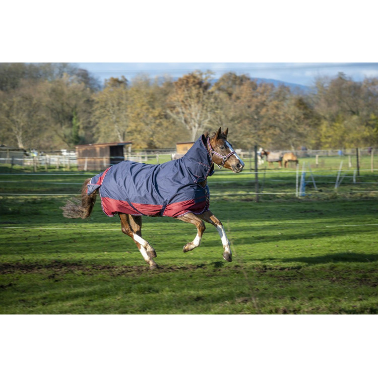Manta Equi-Theme Tyrex 1200 D Combo Manta Equi-Theme Tyrex 1200 D Combo