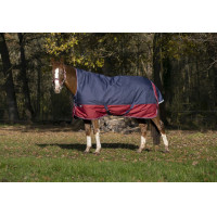Manta Equi-Theme Tyrex 1200 D High Neck Azúl marino / burdeos Manta Equi-Theme Tyrex 1200 D High Neck Azúl marino / burdeos