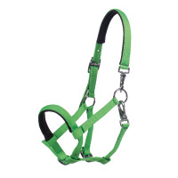 Cabezada para potro HKM Millie Verde neón