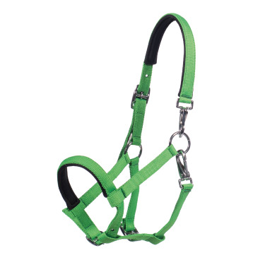 Cabezada para potro HKM Millie Verde neón Cabezada para potro HKM Millie Verde neón